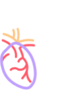 Cardiovascular