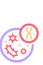 Developmental Biology
