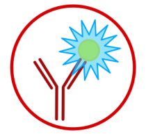 Flow Cytometry