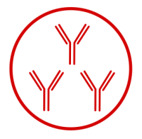 Monoclonal Antibodies
