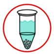 IP