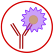 IF