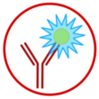 FCM