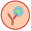 ICFCM
