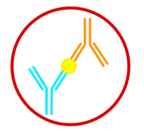 Ready-To-Use ELISA Kits