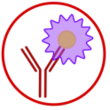 IF