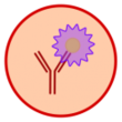 IHC