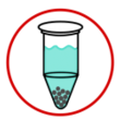 IP